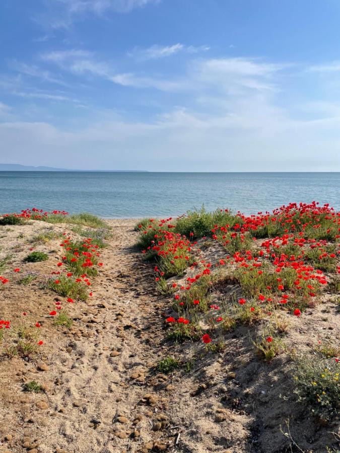 B&B Tre Oristano Eksteriør bilde